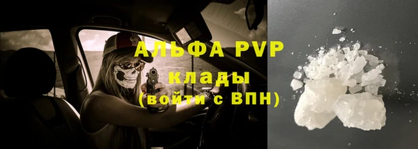 прущие грибы Магадан