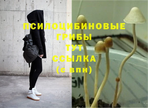 МДПВ Алзамай